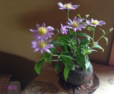 �����܋e�Ɣ��O�̏���