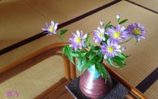 �����܋e�Ɠ���