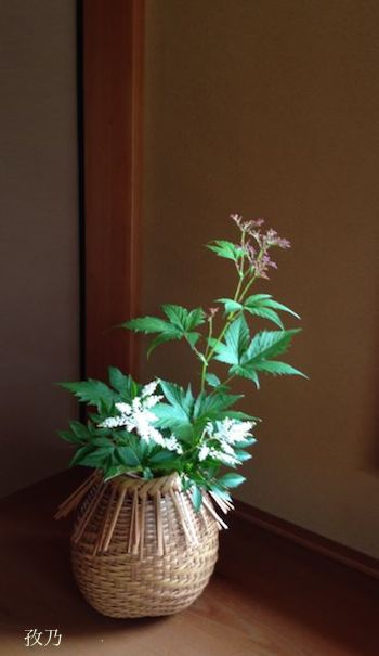 �����̎q�ƖA���������j�Ă�