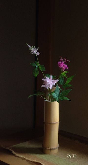 �����̎q�ƖA������