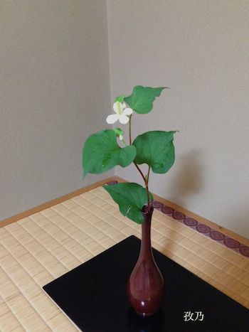 �ǂ����݂̉�