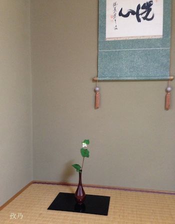 �ǂ����݂̉�