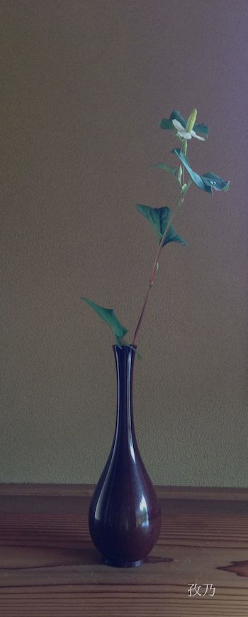 �ǂ����݂̉�