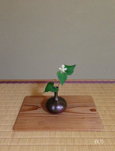 �ǂ����݂̉�