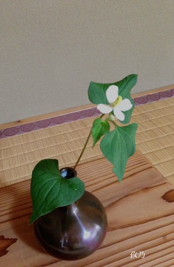 �ǂ����݂̉�