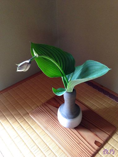 �[���i���ڂ����j