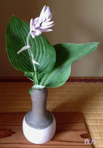 �[���i���ڂ����j