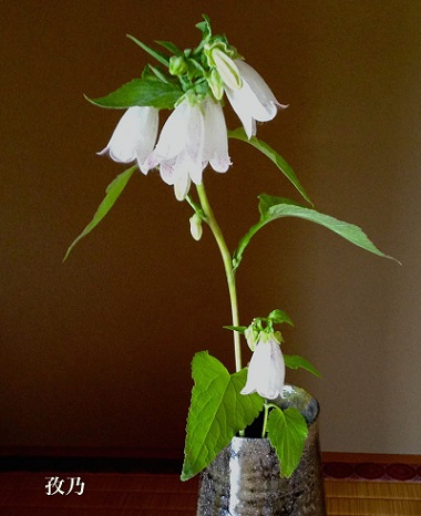 �u�܁i�ق���Ԃ���j