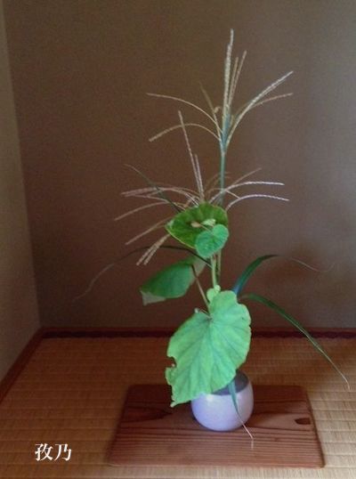 �H�C�����