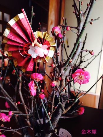 �g�~�[���؍�