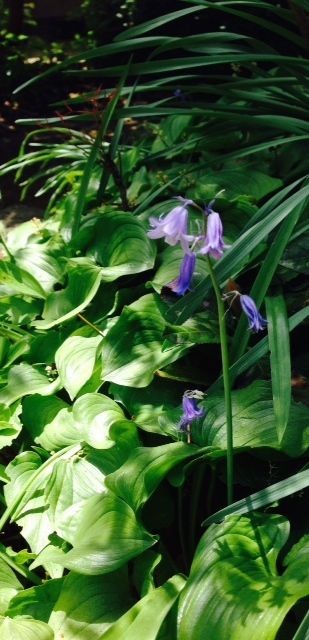 ���̒ޏ�����