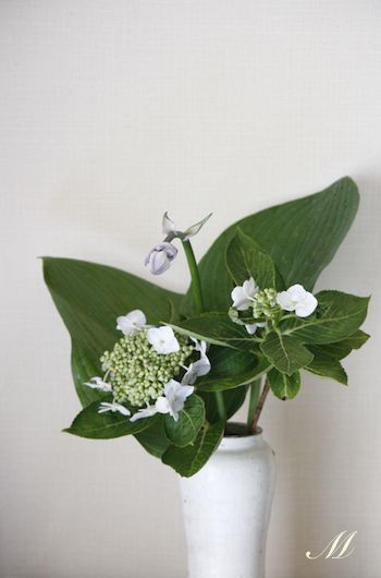 �[���i���ڂ����j�Ɗz���z��