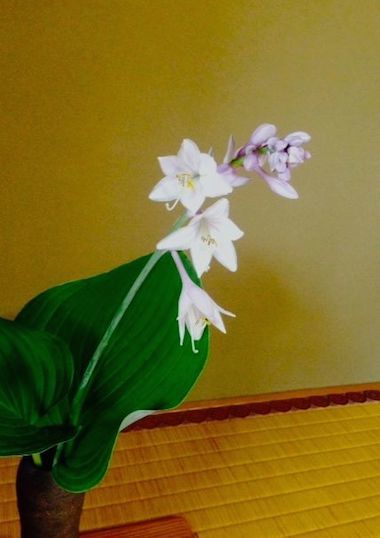 �[���i���ڂ����j