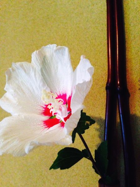 �@�U�؞ہi�ނ����j