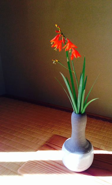 �w���i�Ђ�������������j