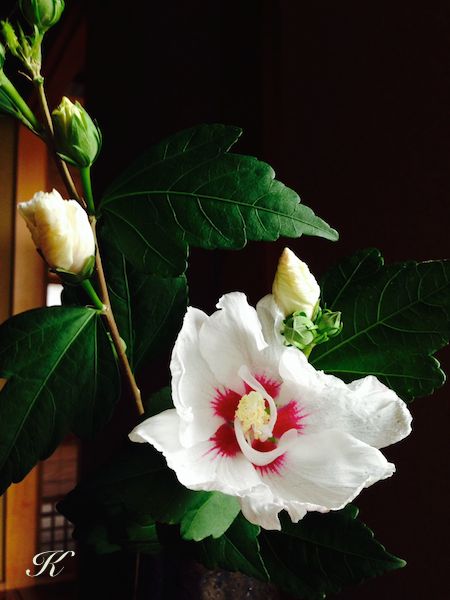 �@�U�؞ہi�ނ����j