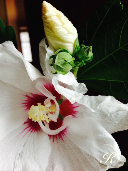 �@�U�؞ہi�ނ����j