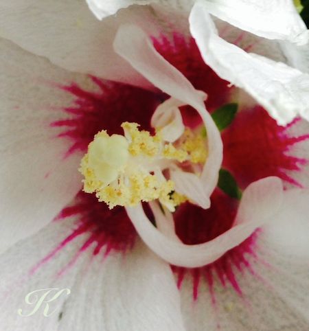 �@�U�؞ہi�ނ����j