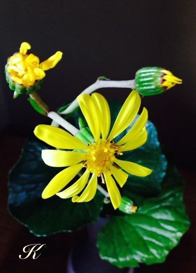 �Ε� ��Ԃ�