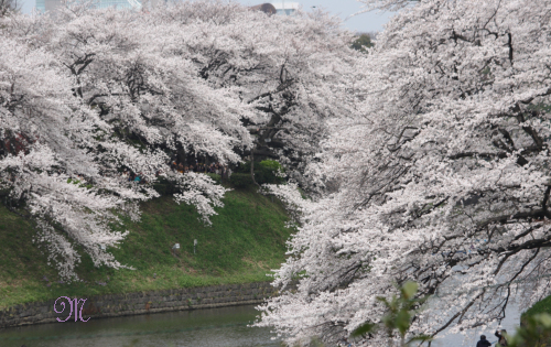 �璹�������J