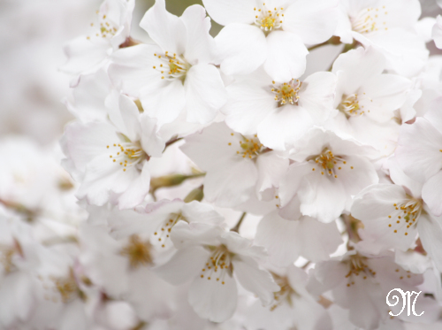 �N�@����̏h