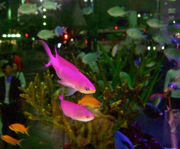 �M�ы��n�i�S�C