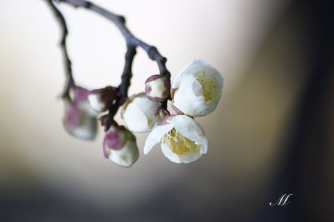 ���~���Q