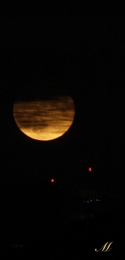 �X�[�p�[���[��