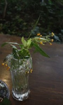 �K���X��ƍ��b����i