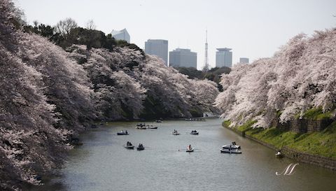 �璹�����̍�