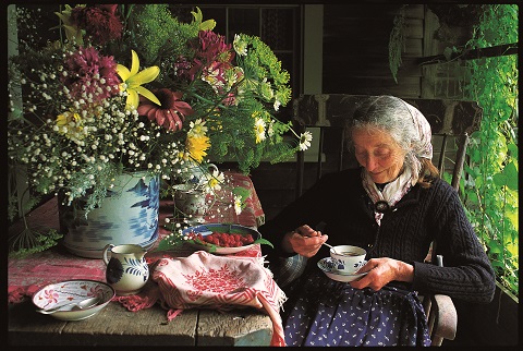 �^�[�V���E�e���[�_�[�@�Â��Ȑ��̕���