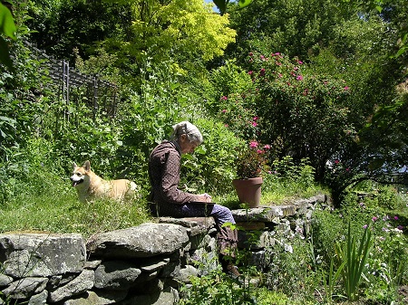 �^�[�V���E�e���[�_�[�@�Â��Ȑ��̕���