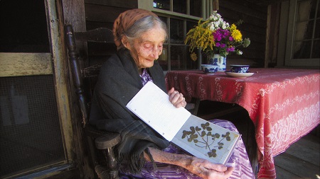 �^�[�V���E�e���[�_�[�@�Â��Ȑ��̕���