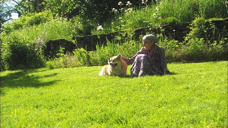 �^�[�V���E�e���[�_�[�@�Â��Ȑ��̕���